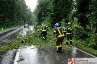 _2024-07-06 Baum über Straße B141 Pramwald-0011